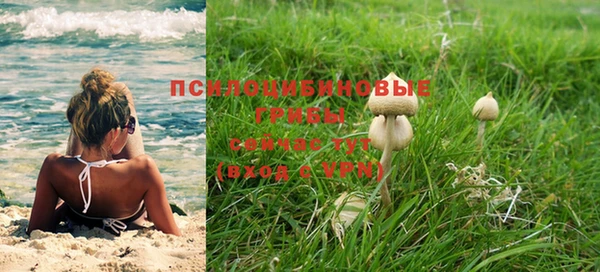 таблы Алзамай