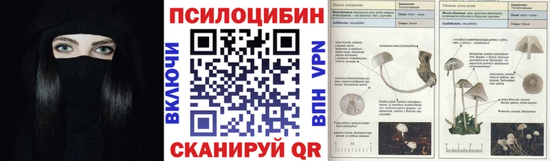 МЕГА зеркало  Сураж  Галлюциногенные грибы прущие грибы 